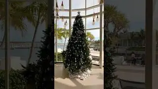 Gift Ideas 🎁 Bahamas Trip 🇧🇸 Bimini ☀️🌴 Christmas is coming 🎄 Christmas Tree Decorations