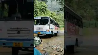 KSRTC Mass Entry ⚡⚡💥💥🔥#shorts #ksrtc #aanavandi #aanavandi_istham #kerala