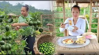 Pick lemons,pick vegetables from the garden to sell.buy more beans to cook meals-build a farm Ep.146