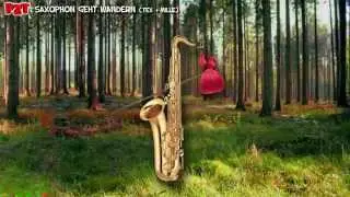 Ps&ouml;tikz Tschernobeef (PZT) - Saxophon geht Wandern '89 (first recordings 1989)