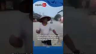 Puluhan Rumah di Belitang 3 OKU Timur Terendam Banjir