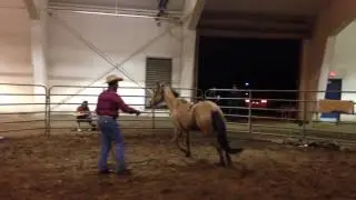 6693 Russell Beatty on Buttercup Paco Bueno lineage