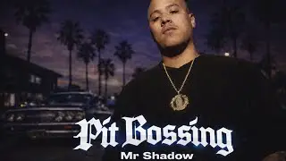 Mr. Shadow - Pit Bossing [187 R3Mix]