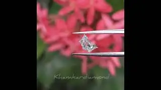 Bat Shape CVD Lab Grow Diamond@Khamkardiamond
