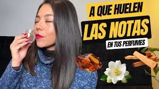 🔎 Aprende a identificar NOTAS y Entrena tu OLFATO 👃🏻 muy Fácil