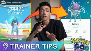 SUICUNE RAID GUIDE! HOW TO COUNTER AND CATCH LEGENDARY SUICUNE IN POK&Eacute;MON GO
