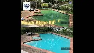 Watercrafters Super Algae Killer #algaekiller #poolservice #poolchemistry