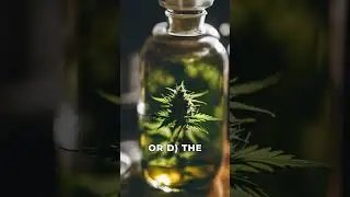 Rosin vs. Resin in Cannabis #cannabisquiz, #cannabiseducation,