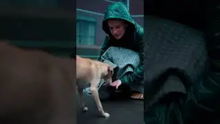Heartbreaking Rainy Kitten Rescue &rarr; Happy Ending You Won't Believe! 🐱💔➡️😻