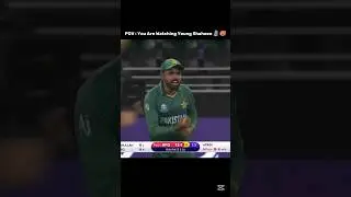 Shaheen Afridi Dream Bowling Spell Against Afghanistan #cricket #cricketshorts