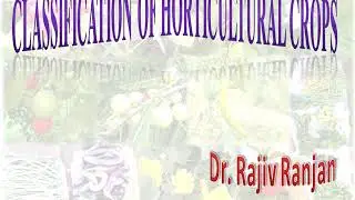 Classification of horticultural crops