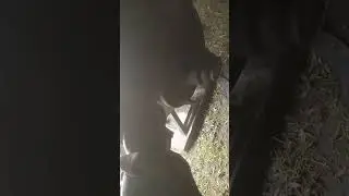 turning rotors with angle grinder