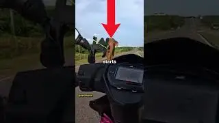 Biker Gets Chased By A Elephant