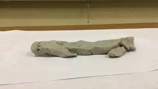 Cell project