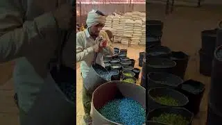 Kancho ko kaise banate hai How to make in kanche Kanche banaye ki process 💯💯💯💯
