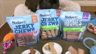 National Pet Month Tips with Colleen Burns - KKVI