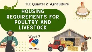 TLE 7 Quarter 2 Week 7 - Housing Requirements for Poultry and Livestock (MATATAG Curriculum)