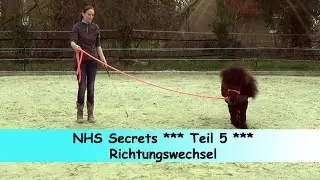 Teil: 5 Richtungswechsel an der Longe  ** Natural Horsemanship Secrets **