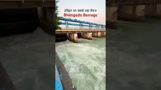 हरिद्वार गंगा को करता है कंट्रोल सबसे बड़ा बैराज Bhimgoda Berrage Haridwar #shorts