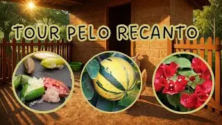 Tour pela ch&aacute;cara | Obras no Recanto + Laranja melancia + Lim&atilde;o caviar