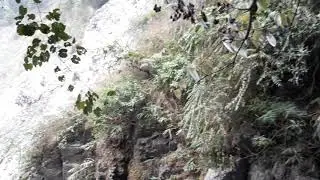 Natural beauty of 
