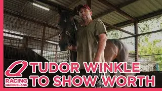 Tudor Winkle to show his worth in Pat O'Shea