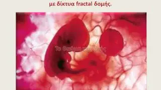 Fractal Biology