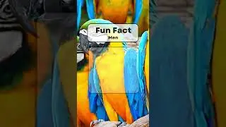 Fun Facts - Men #shorts #shortsvideo #menfacts #men #womenfacts #women #lovefacts