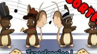 Sorteio conta transformice