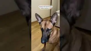 Je paie et elle est d&eacute;sagr&eacute;able 😩