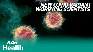 'Mu' Covid-19 variant worrying scientists explained