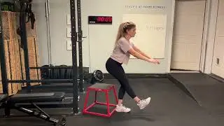 Eccentric Only 1:2 Single Leg Squat to Target