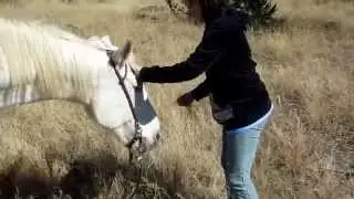 Carla and her Horse 