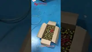 Magnetic core assembly machine -Juke magnetic core plastic testing machine
