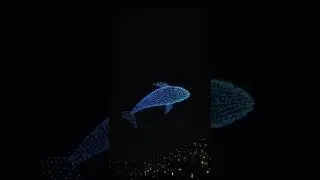 Drone Show at Bannimantap Parade Grounds Mysuru Mysore #drone #droneshots #dronevideo #dussehra