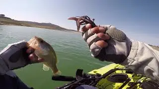 Summer Kayak Bass Fishing - Castaic Lake, Ca