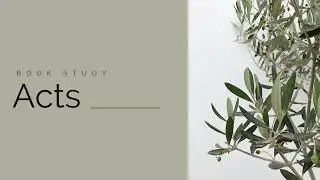 The Book of Acts Week 4 | Peter's Greatest Sermon | SERMON AUDIO