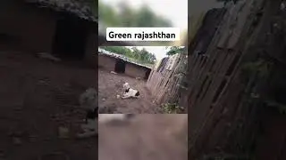 green Rajasthan #rajasthan #viral #shorts
