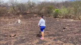 🚨🚨 la importancia  de cuidar  la tierra🚨🚨  🔥🔥🔥🔥🔥