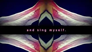 Song of Myself - a birthday tribute to Walt Whitman.