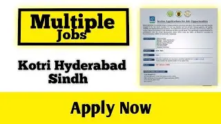 Multiple Jobs | kotri Hyderabad | Sindh Jobs | latest jobs | Pakistan sindh jobs | PakSindhJobs