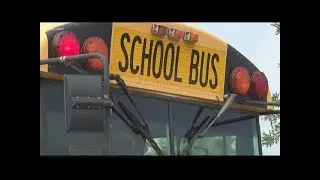 History of the school bus
