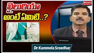 ఖైలురియా అంటే ఏమిటి...? | Dr Kammela Sreedhar | Mahaa News