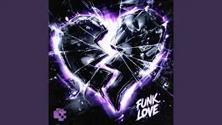 FUNK LOVE