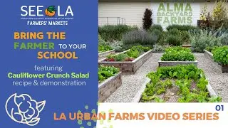 Bring the Farmer to Your School, LA Urban Farm Series: 1 Alma Backyard Farms