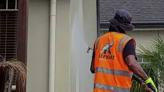 We&rsquo;re BIG on doing a great job - Elephant House Wash | Auckland Wide
