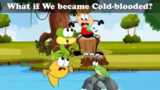 What if We became a Cold-blooded Animal? + more videos | #aumsum #kids #cartoon #whatif