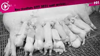 La Minute TOPIGS 01 Resultats GTTT