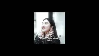 ذبات كيبوب + كيدراما + مدرسة