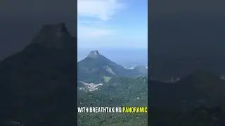 Tijuca National Park &ndash; The Lush Green Heart of Rio!